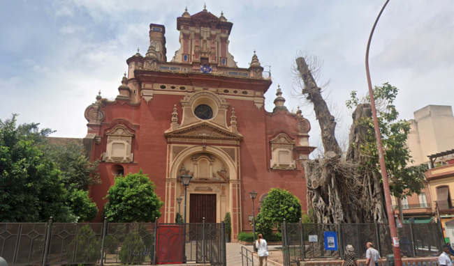 La controvertida tala de un árbol en Sevilla: del ficus de San Jacinto a un símbolo de la lucha ciudadana por el medio ambiente