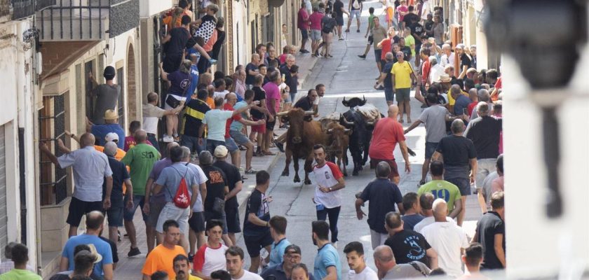 Tragedia en Enguera: fallecimiento de una mujer durante los festejos taurinos