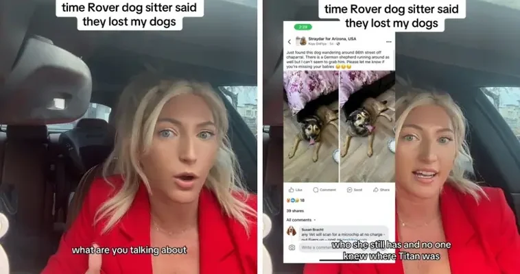 La lamentable experiencia de un dueño de perros con la app Rover: crisis y recuperación