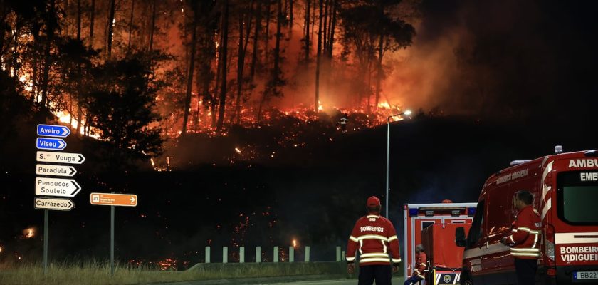 Incendios en Portugal: tragedia nacional que demanda respuestas urgentes