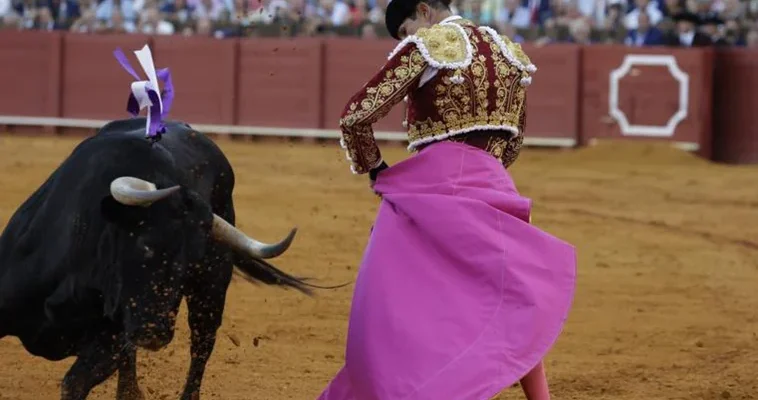 La nueva normativa taurina en Andalucía: un hito para la tauromaquia nacional