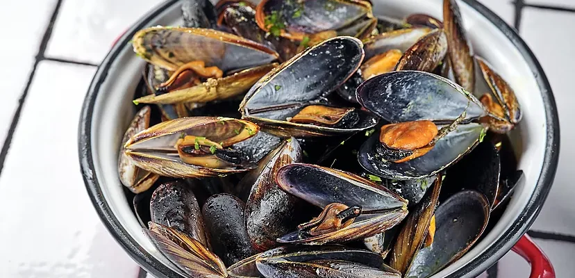 Alerta Rápida de la UE: Mejillones españoles contaminados con E. coli generan preocupación