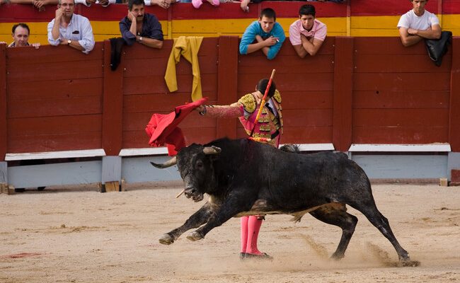 OneToro TV y el crudo reality check sobre la tauromaquia: ¿por qué adiós a San Miguel y Otoño?