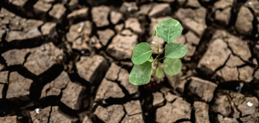 El sorprendente futuro de las sequías: ¿qué dice el último estudio sobre el cambio climático?