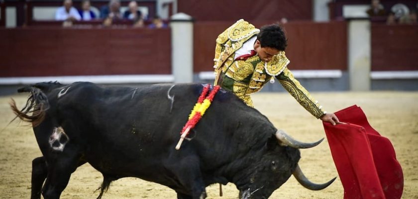 La tarde decepcionante del golf: una experiencia entre toros y risas