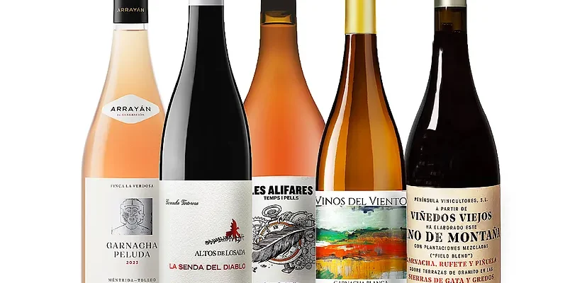 La garnacha: el tesoro oculto del vino español que conquista el mundo