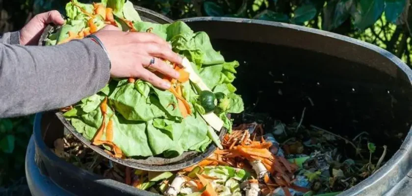 Lidl y su innovadora estrategia para combatir el desperdicio alimentario en España