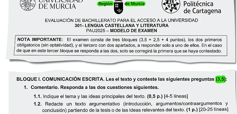 El futuro del trabajo remoto: cómo las empresas están redefiniendo la productividad post-pandemia