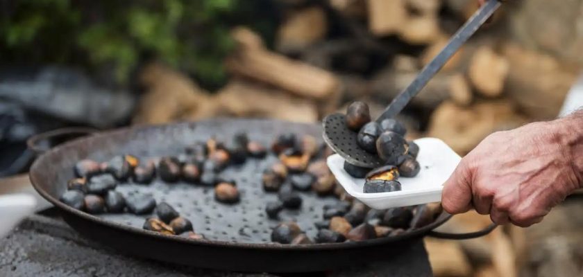 Otoño en España: Celebraciones, Tradiciones y Sabores que no te Puedes Perder