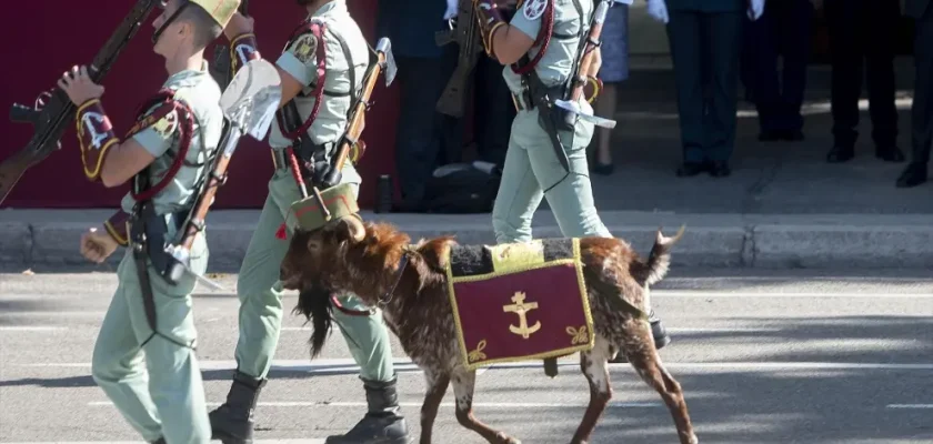 La curiosa tradición de la cabra de la Legión: un símbolo de fuerza y camaradería en el Día de la Hispanidad