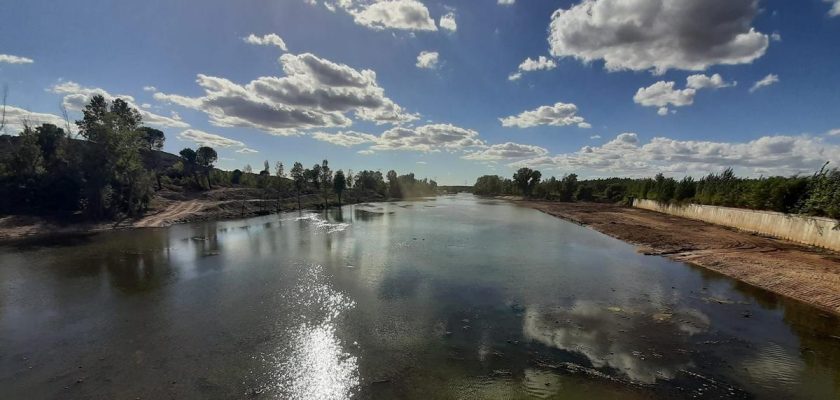 La devastación del bosque de ribera en el río Alberche: un llamado urgente a la conservación