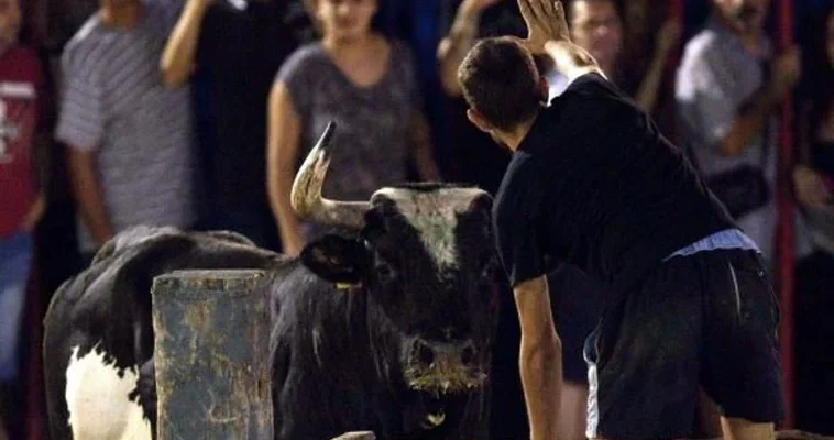 El trágico accidente de un hombre embestido por un toro en un callejón de España