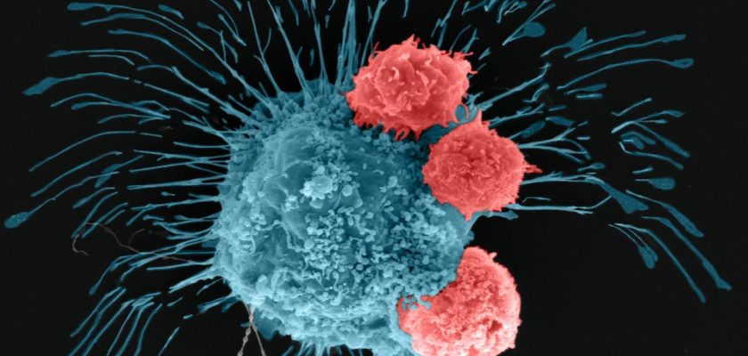 Nuevos atlas tridimensionales del cáncer: La revolución que cambiará el futuro del tratamiento oncológico