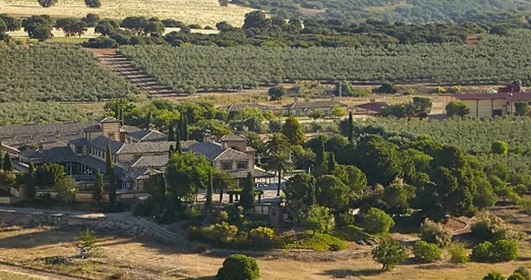 El sorprendente viaje de Casas de Hualdo: De la oliva al queso manchego y más allá