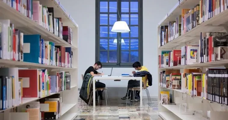 Celebrando la Cultura: 370 bibliotecas recibirán apoyo para promover la lectura en España