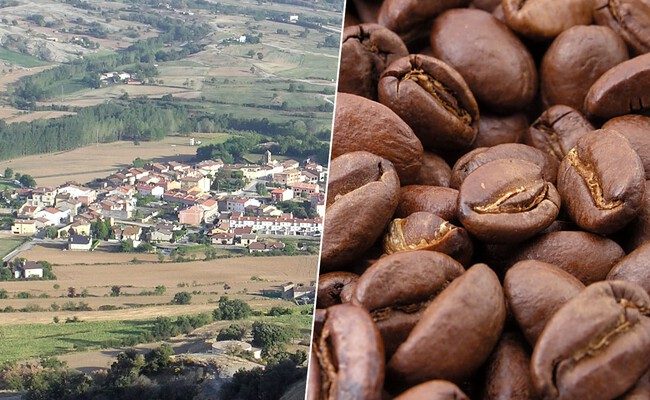 Un nuevo horizonte cafetero: cómo una pareja de Cataluña desafía el clima para cultivar café