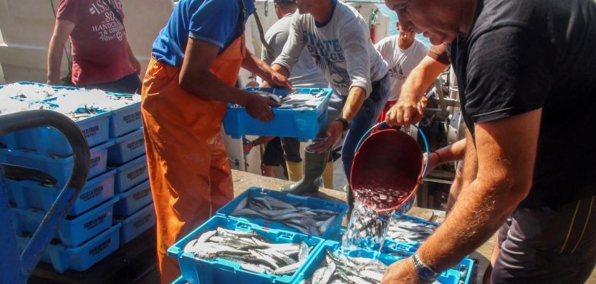 La anulación del acuerdo de pesca UE-Marruecos: un giro histórico en la lucha por los derechos del pueblo saharaui