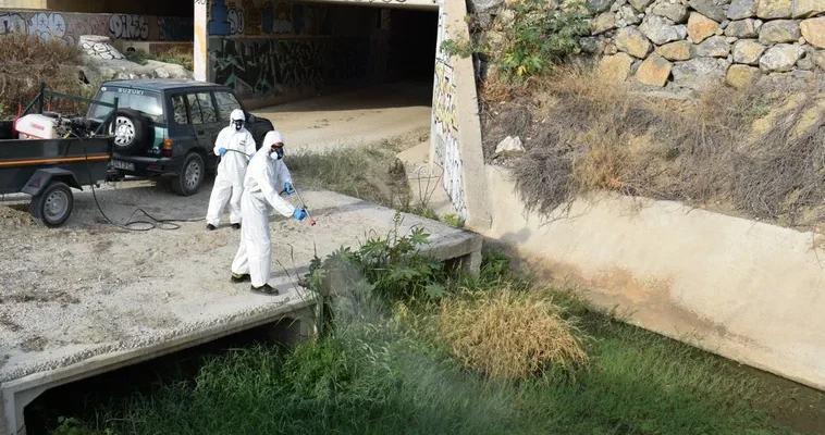 Alerta sanitaria en Málaga: la lucha contra el virus del Nilo y su impacto en comunidades locales