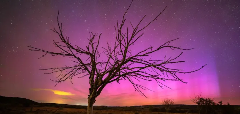 Auroras boreales y australes: magia y ciencia detrás de un espectáculo celestial