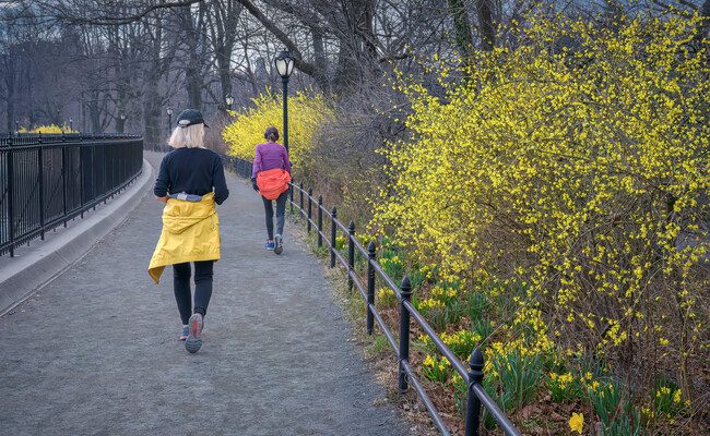 Nuevas investigaciones sugieren que caminar de manera intermitente quema más calorías que hacerlo de forma continua