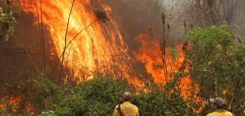 Bolivia declara desastre nacional por incendios forestales: el impacto del cambio climático en la Amazonía