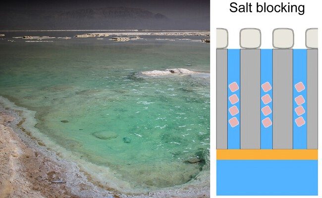 Revolucionaria técnica china promete extraer litio del mar: un salvavidas para la transición energética