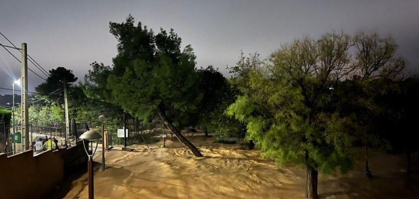 Desgarradoras historias de supervivencia tras la inundación en València: una mirada a la humanidad