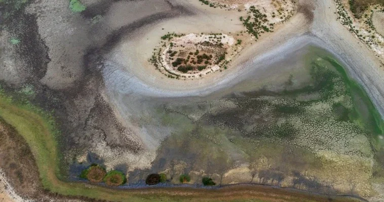 La alarmante crisis hídrica en Doñana: ¿es el fin de un paraíso natural?