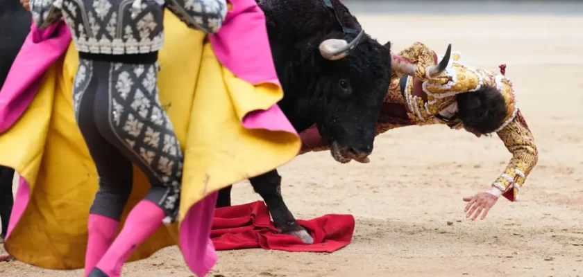 Andrés Roca Rey: La feroz realidad detrás de la pasión por la tauromaquia