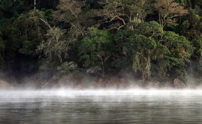 La lucha por la Amazonía: ¿estamos sacrificando a las tribus aisladas por el petróleo?