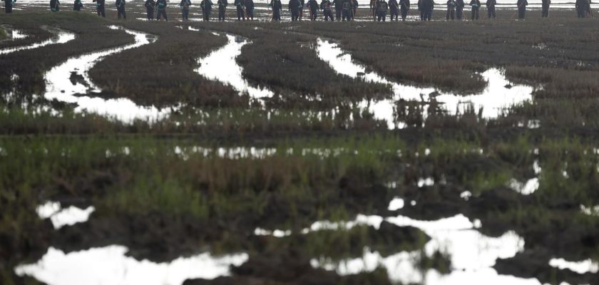 Tragedia en la Albufera: el esfuerzo titánico de la Guardia Civil y la comunidad ante la DANA