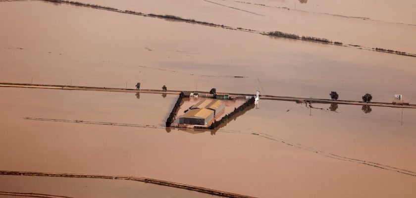 La devastadora dana en el sureste español: daños, pérdidas y el futuro incierto de la agricultura