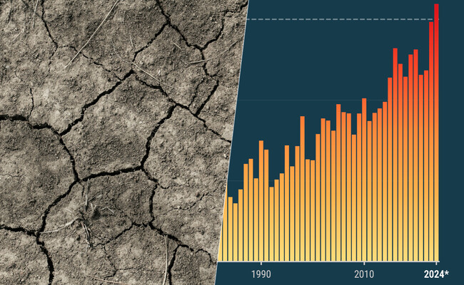 La temperatura global alcanza un nuevo récord: claves sobre el calentamiento climático de 2024