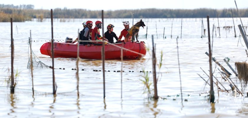 La Albufera y su realidad ocultada: reflexiones sobre la naturaleza y la humanidad