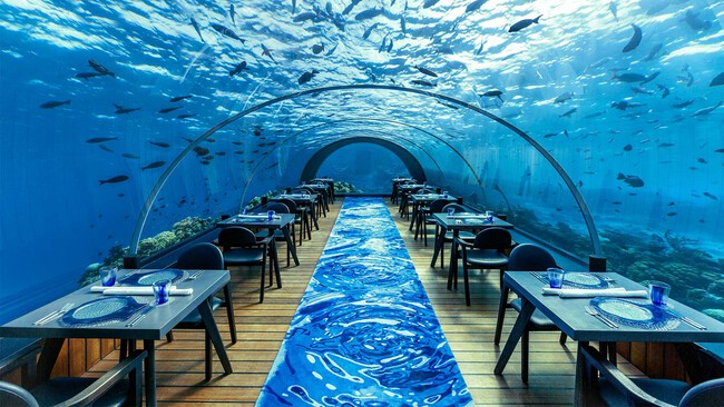 La increíble experiencia del 5.8 Undersea Restaurant: cenar bajo el mar nunca fue tan seductor