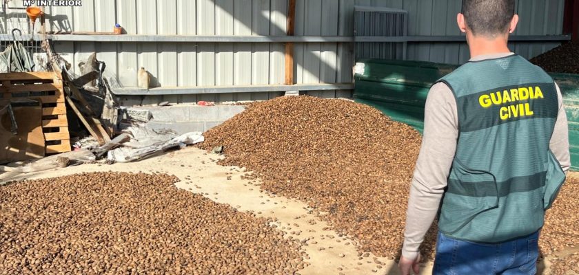 La inusual historia de los robos de almendras en Huesca: ¿qué nos enseña?