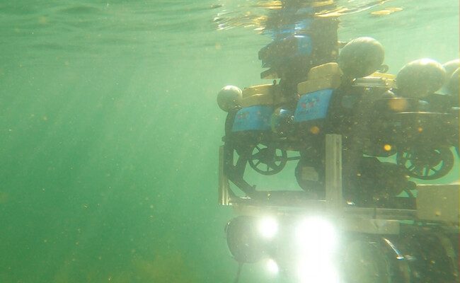 El futuro de la energía eólica marina: robots submarinos y su impacto en la sostenibilidad