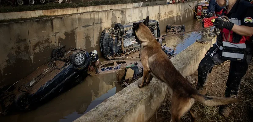 Desastre en Catarroja: la desoladora realidad tras la DANA que arrasó el municipio