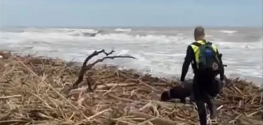 La devastadora DANA en Valencia: un análisis de la tragedia y sus consecuencias