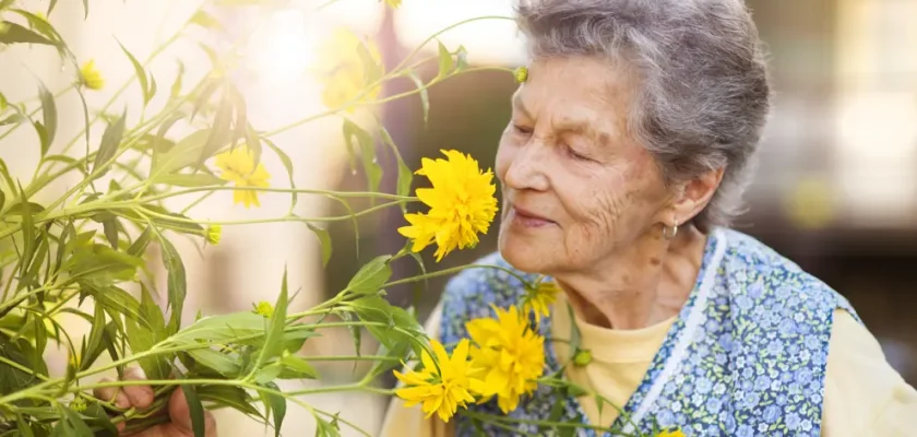 Cinco arrepentimientos comunes que nos enseñan sobre la felicidad y la vida plena