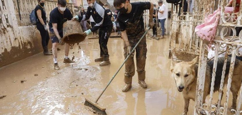 La gestión de emergencias en Valencia: desafíos y aprendizajes tras la DANA