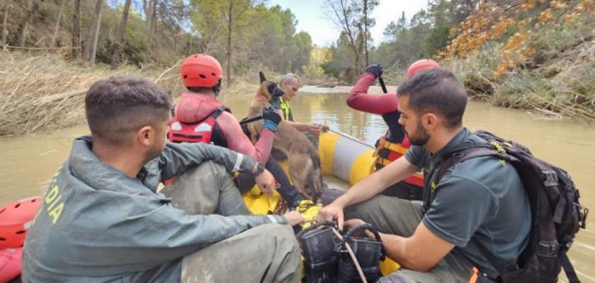 Tragedia en Letur: el impacto de la DANA y el esfuerzo solidario ante la adversidad