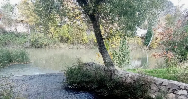 La herencia cultural de Valencia: una mirada emocional tras la tristemente célebre dana