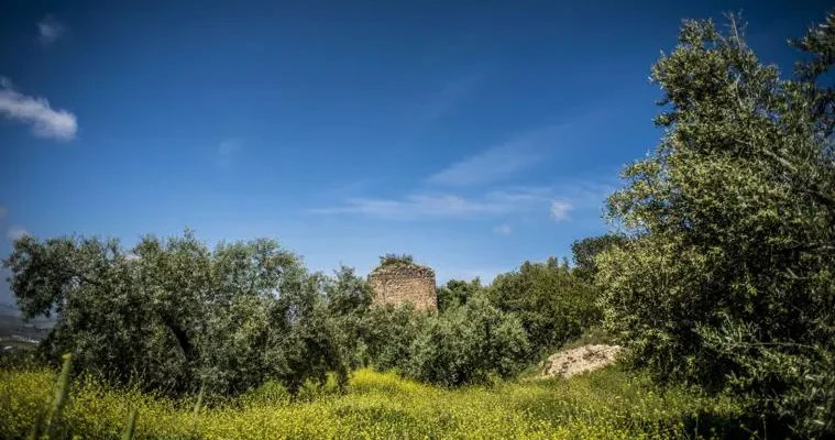 El legado oculto de rute viejo: un viaje a la historia medieval de Andalucía