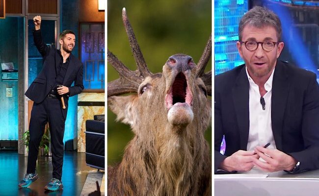 La contienda de las audiencias: cómo 'El Hormiguero' y 'La Revuelta' están redefiniendo la televisión en España