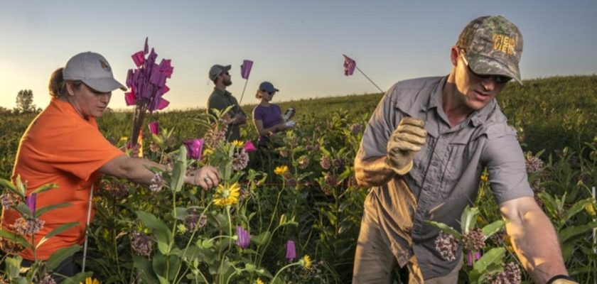 La edición 2024 de World Press Photo: luces y sombras del fotoperiodismo contemporáneo