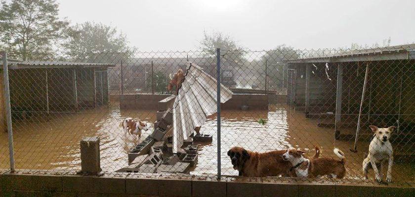 El devastador impacto de la dana en Valencia: solidaridad, esperanza y reconstrucción ante la adversidad