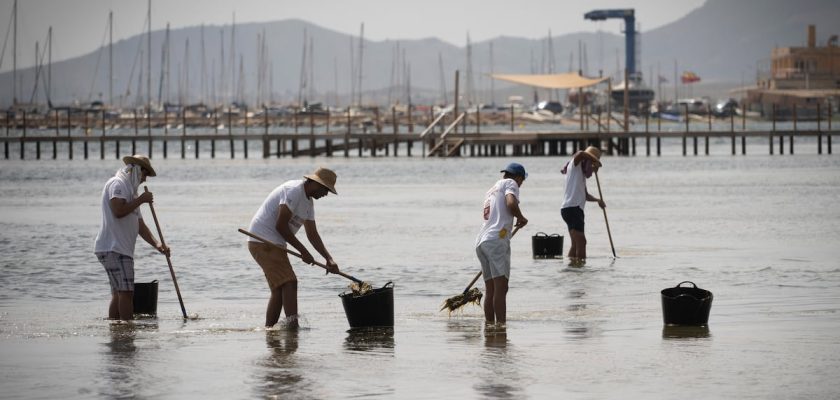 La histórica sentencia del Tribunal Constitucional y su impacto en el mar Menor: un nuevo enfoque hacia la protección ambiental