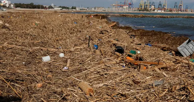 La albufera y su recuperación tras la riada: un vistazo a la resiliencia de los ecosistemas