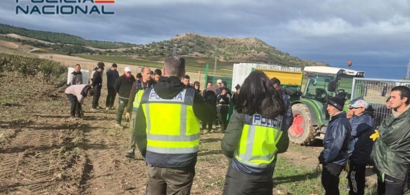 Explotación laboral oculta: el oscuro negocio detrás de la agricultura en España